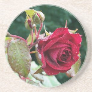 Rosa vermelha Sandstone Porta copos