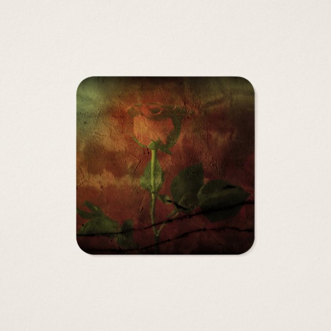 Rosa vermelha sobre fundo de gradação (Verso)