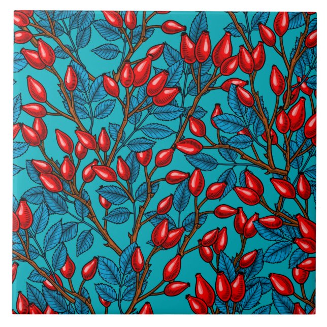Rosa, vermelho e azul (Frente)