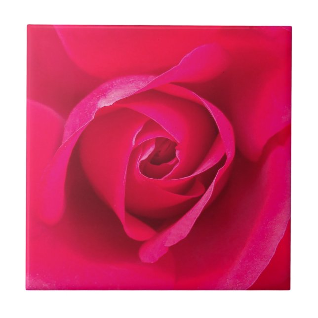 Rosa Vermelho Romântico Rosa v2 (Frente)