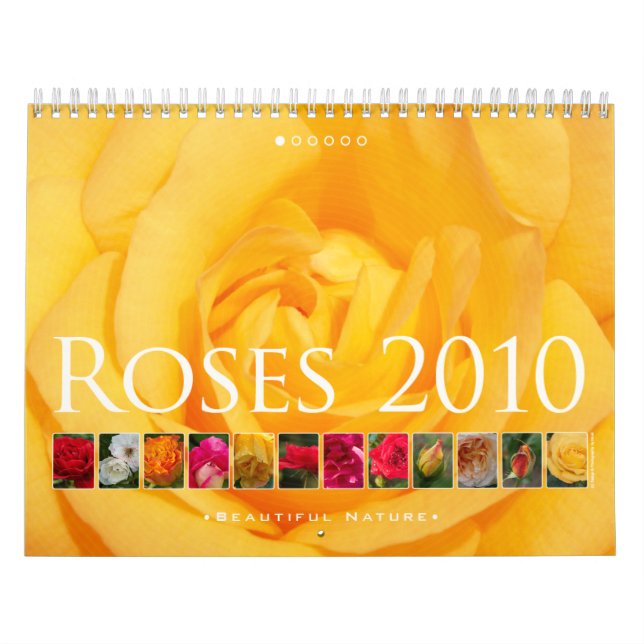 Rosas 2010: Natureza Bonita - Calendário (Capa)