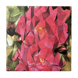 Rosas abstratos do Cubist