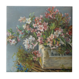 Rosas alpinos em uma janela - Andreas Lach