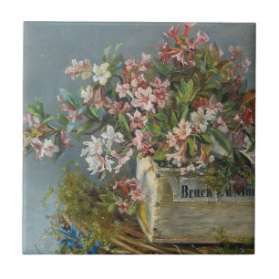 Rosas alpinos em uma janela - Andreas Lach