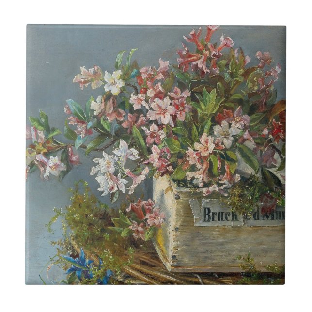 Rosas alpinos em uma janela - Andreas Lach (Frente)