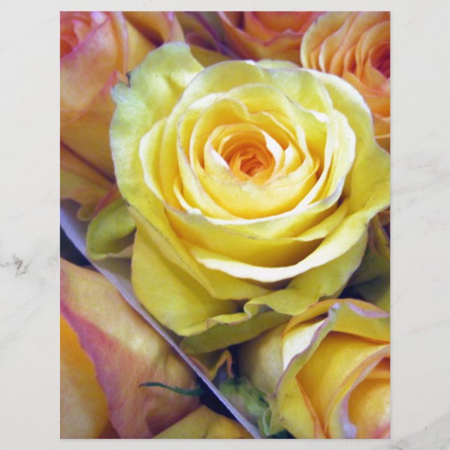 Rosas amarelas e laranja (Frente)