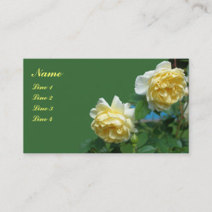 Rosas Amarelas Na Cartão de visita De Flor De San