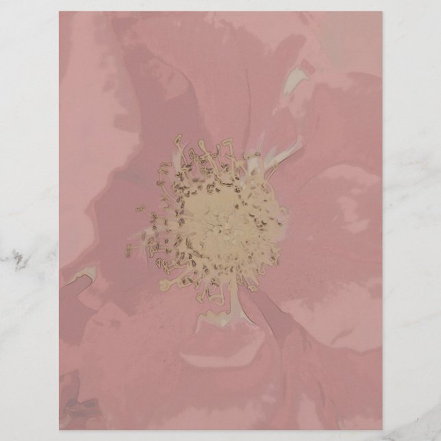 Rosas Arbustivas PastelDesbotado (Frente)