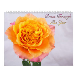 Rosas através do calendário da foto do ano