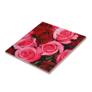 Rosas, Azulejo rosa e cerâmica vermelha