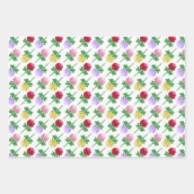 Rosas Bonitas e Coloridas