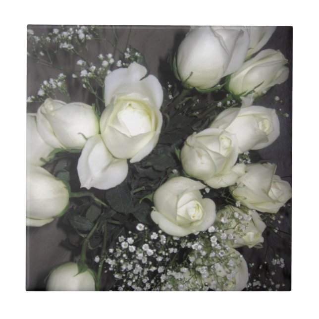 ROSAS BRANCAS (Frente)