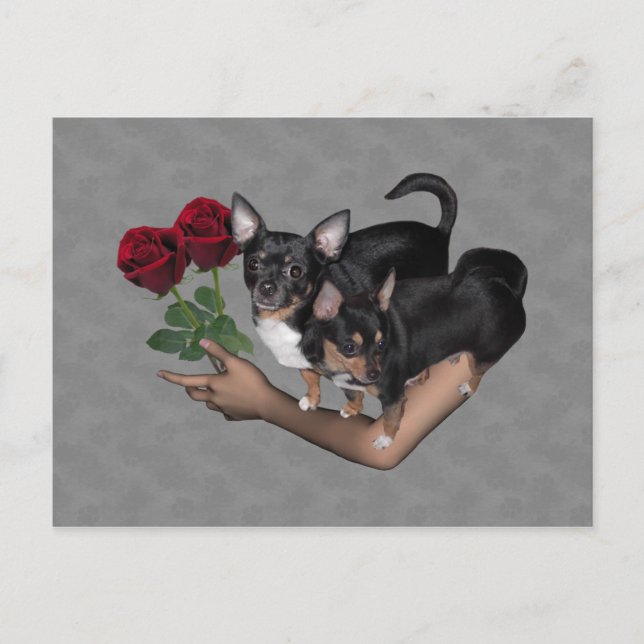 Rosas Chihuahua - Cartão postal (Frente)