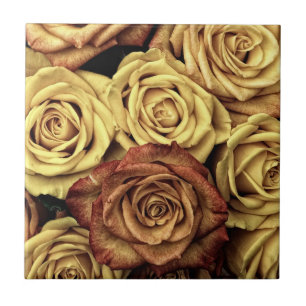 Rosas com inclinação