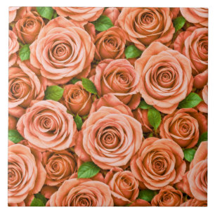 Rosas Cor-de-rosa Coral Padrão Floral