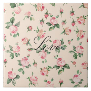 Rosas Cor-de-Rosa Floral Bonito