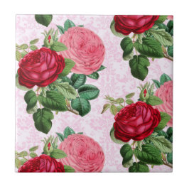 Rosas Cor-de-Rosa Vintage em Decoração Damask 