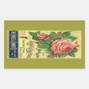 Rosas da herança do vintage da etiqueta que
