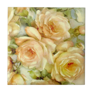 Rosas da paz