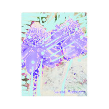 Rosas de água azul magia