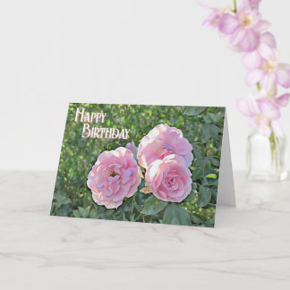 Rosas de Aniversário - Cartão