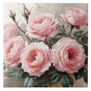 Rosas de Blooming Rosa