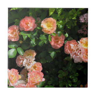 Rosas de inclinação