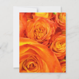 Rosas de laranja Fogo