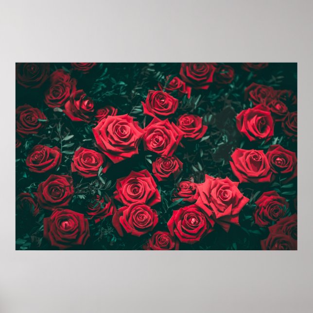 Rosas Elegantes em Bloom Trabalho de arte | POSTER (Frente)