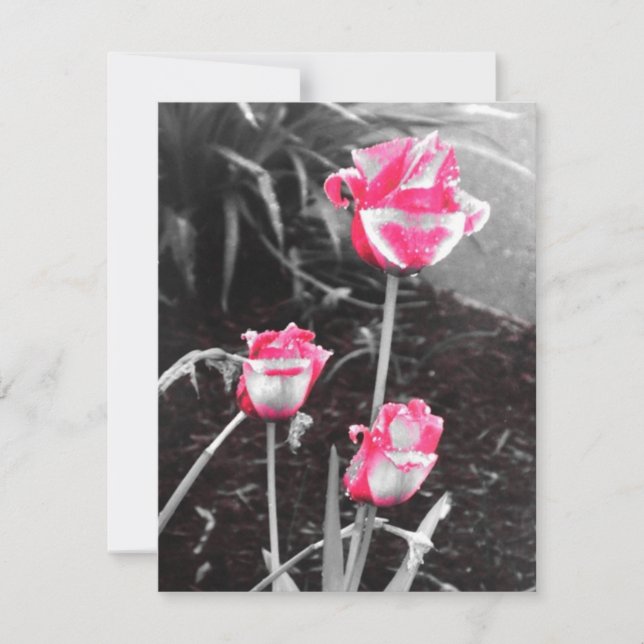 Rosas em Forma de Lágrima -Design 2 (Frente)