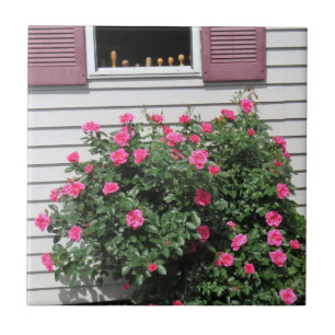 Rosas Flamingo com chave de fenda de madeira