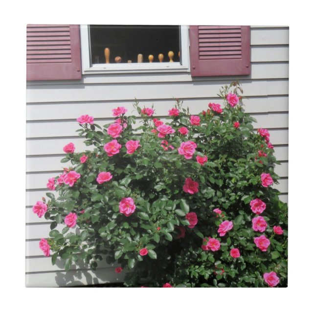 Rosas Flamingo com chave de fenda de madeira (Frente)