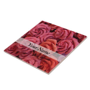 Rosas florais cor de rosa