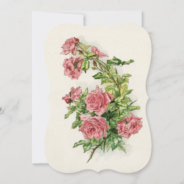 rosas florescem videiras balões vintage (Frente)