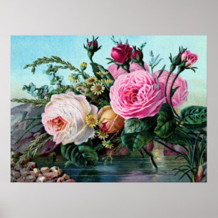 Rosas Ingleses Vintage Impressão antigo
