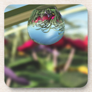 Rosas na Porta copos do Raindrops Cork