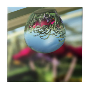 Rosas no Azulejo decorativo do Raindrops