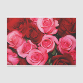 Rosas, papel de enrolamento de tecidos rosa e verm