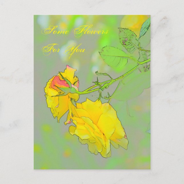 Rosas, pegue suas lindas rosas aqui! Cartão postal (Frente)