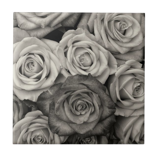 Rosas Pretas e Brancas (Frente)