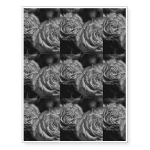 Rosas preto e branco