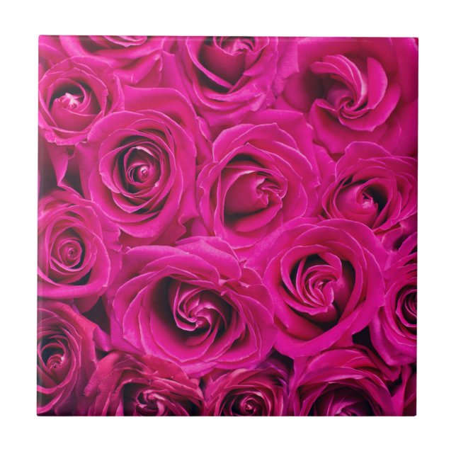 Rosas Rosa (Amor e Romance) (Frente)