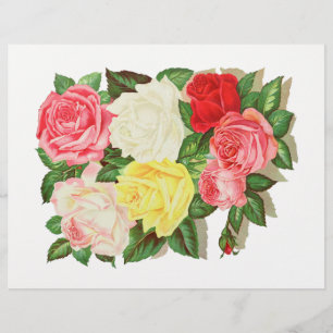 Rosas Rosa Branco Amarelo Vermelho Flor Floral #1