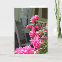 Rosas rosa e Rocker - Cartão Vineyard de Martha