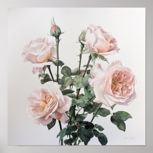 Rosas Rosa, Impressão de Arte Flor Poster (Frente)