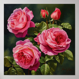 Rosas Rosa, Impressão de Arte Flor Poster