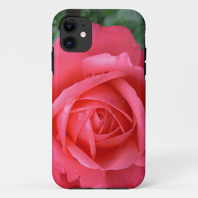 Rosas rosa rosa rosa iPhone 5 Case capas de iphone (Verso)