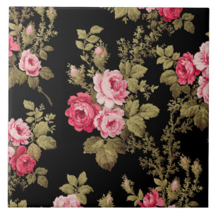 Rosas Rosa-Rosa-Vintage Elegante-Fundo Preto
