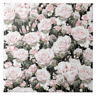Rosas Rosa Suaves