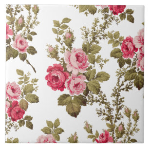 Rosas Rosa Vintage Elegante - Fundo Branco